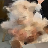 Boneka Hewan Lucu Berbahan Katun PP, Boneka Panda Anak Sapi, Mainan Boneka untuk Anak, Boneka Bayi