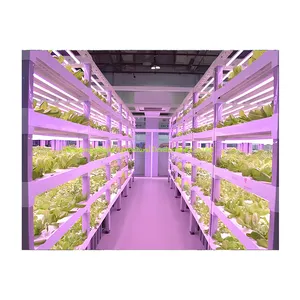 Smart Farm Superfarm Nft Greenhouse hydroponics fodder 40-foot container plant factory