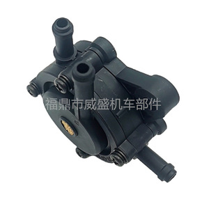 Pompe à carburant 491922 691034 692313 808492 808656, accessoires de moto pour pièces de moteur Briggs Stratton - Product Image 4