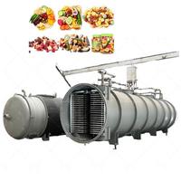CE 120m² Vacuümvoedselvriesdroger Lyofilisator 1000kg Vriesdroogmachine voor groenten, fruit en chips