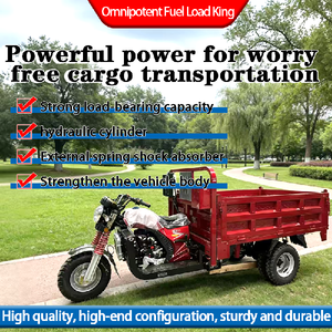 <b>Gasoline</b> Tricycle 5-Wheel Right-Hand Motorcycle Open Body 201-250cc Displacement 801-1000W Power Self-Dumping - Product Image 4