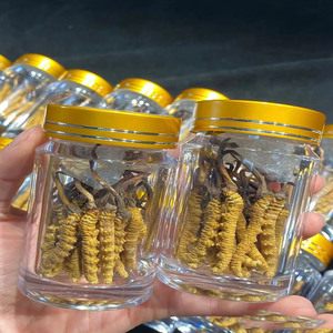Cordyceps Sinensis de haute qualité plante entière Cordyceps sauvage chinois font Cordyceps Militaris <span class=keywords><strong>Longrich</strong></span> - Product Image 6