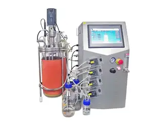 Groothandel Glazen Fermenter BLBIO-GJG Model Met Mechanische Aandrijving Of Magnetische Aandrijving Bovenop, 3 Zespuit En 1 Schuimbreker