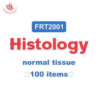 Human Histology Slides Set FRT2001 Fitted Box 100 Kinds Epithilial Tissue Anatomy Physiology Course Medical Science