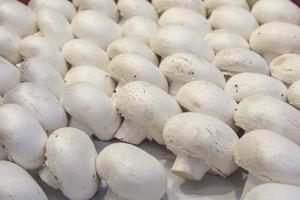 Detan bán buôn nông nghiệp tươi Trắng Nút champignon nấm để bán - Product Image 5