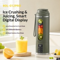 Draagbare mini fruitblender, sapcentrifuge, ijsvergruizer en smoothiemaker voor thuis, sportschool, buiten en op reis