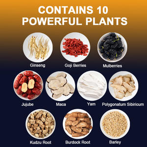 Dış Ticaret İhracatı <span class=keywords><strong>Ginseng</strong></span> Sekiz Hazine Çayı Erkek Enerji Takviyesi Çay Poşetleri Paket Başına 20 Poşet - Product Image 2