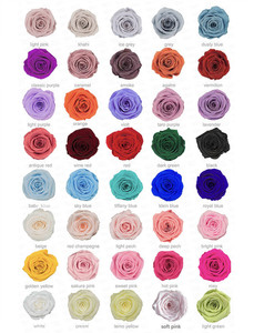 Rosa Seca en Oferta para Regalos del Día de San Valentín, Rosas Eternas Naturales Preservadas de Larga Duración en Cristal - Product Image 6