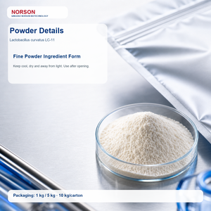 Polvere Probiotica Lactobacillus Crispatus LC11 Liofilizzata di Grado Alimentare, 100 Miliardi CFU/g, per Integratori per <span class=keywords><strong>la</strong></span> Salute Femminile - Product Image 2