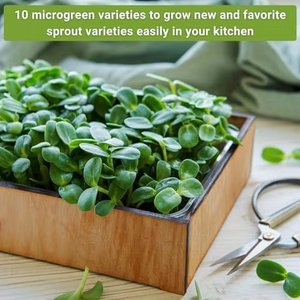 Kit Campione di Microgreens Sow Right, Superalimenti Salutari per Coltivazione Indoor, Broccoli, Crescione, Piselli e Altro - Product Image 6