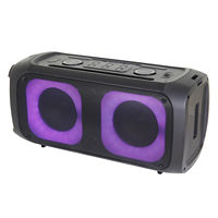 Double caisson de basses 6.5 pouces, haute puissance, Audio professionnel Dsp, boîte de son sans fil, ensembles karaoké Bt Tws Dj/ Pa, système de haut-parleurs Bocina