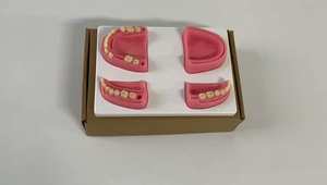 Человеческая Стоматологическая тренировочная модель, шовная Накладка со смоляными зубами для практики, медицинский научный продукт - Product Image 6