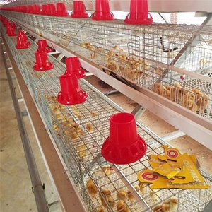 Cages de couvaison automatiques professionnelles pour poulets, type <span class=keywords><strong>A</strong></span>, galvanisées, pour élevages avicoles modernes - Product Image 3