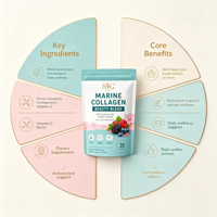 Collagène marin SYC BIO, acide hyaluronique, vitamine C, biotine pure, poudre en vrac de 300 g, vente en gros, étiquette privée, OEM, ODM, prix d'usine