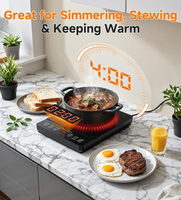 Table de cuisson à induction portable, 1800W, 20 niveaux de température et de puissance, minuteur