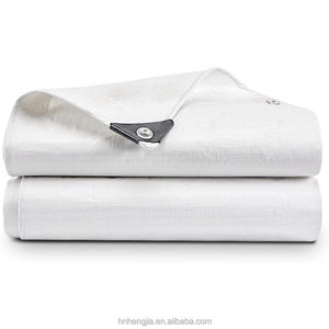 100-120 gsm <span class=keywords><strong>pe</strong></span>-plane blatt und rolle, alle größen und farben zur abdeckung verfügbar - Product Image 4