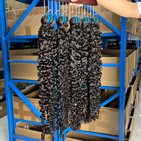 Lot de Cheveux Vierges Non Traités Double Drawn, Qualité 12A, Origine Vietnamienne et Cambodgienne, Cuticules Alignées, Ondulation Naturelle, pour Tissage en Gros