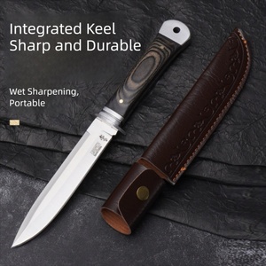 DIY Outdoor Camping Stainless Steel <b>Plastic</b> Handle Multi-Purpose Folding <b>Pocket</b> Knife 20cm Spear Point OEM Customizable - Product Image 2