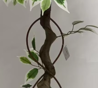 Pohon Ficus Bonsai Palsu 120cm Daun Hijau Putih Selalu Hijau Natal Paskah Rumah Kantor Ruang Tamu Ramah Lingkungan Dalam Ruangan