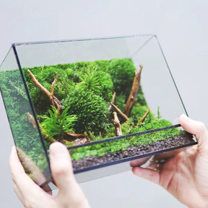 Ventilated Rectangular Glass Terrarium <strong>Tank</strong> with Metal Frame Reptile Habitat <strong>Gecko</strong> Enclosure or Indoor Plant Display - Product Image 3