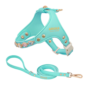 Conjunto de Arnés de Cuero para Perro, Arnés Ajustable para Perro Pequeño con Correa a Juego, Decoración de Cristal, Cuero PU, Disponible en Stock - Product Image 1