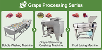 Elektrische druivenpers en -ontstemer |   Automatische fruit- en groenteverwerkingsmachines met hoge efficiëntie voor de wijnproductie