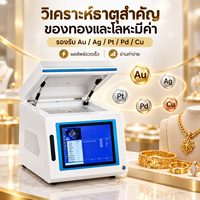 Analyseur de pureté de l'or portable XRF, machine d'analyse de l'or pour les bijouteries, analyse des métaux précieux et analyse non destructive