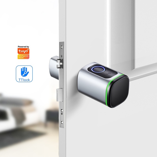 ANG European Cylinder Smart Door Lock Knob Fingerprint Automatic Security Works with Tuya or Ttlock Door Lock for Home