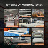Échantillon gratuit d'usine OEM/ODM Matelas en mousse à double taille King Queen Dream Sleep Matelas orthopédique à ressorts ensachés