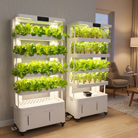 Système de culture hydroponique verticale intelligent pour légumes, sans sol, à usage domestique, multi-niveaux, pour la culture de semis avec arrosage intégré