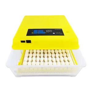 12v/110/220v digital mini incubator with competitive price for sale