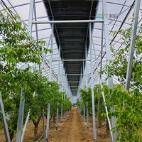 Serre tunnel agricole à simple travée en film PE/PO pour l'agriculture verticale et les systèmes hydroponiques