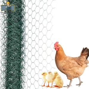 <span class=keywords><strong>Grillage</strong></span> hexagonal en PVC, <span class=keywords><strong>maille</strong></span> de 2 pouces, calibre 16, vert, galvanisé, pour poulailler - Product Image 1