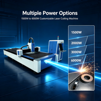 Harga Pabrik Mesin Pemotong Laser 3kw Mesin Pemotong Plat Laser Fiber 6kw 1500*3000mm