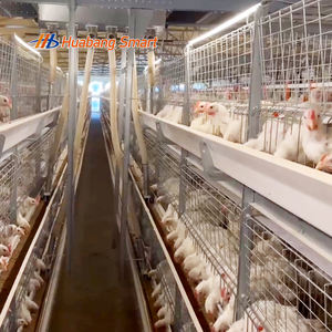 ออกแบบระบบระบายอากาศ ทำความสะอาดง่าย ดูแลรักษาง่าย  กรงเลี้ยงไก่เนื้อสำหรับการเลี้ยงไก่เนื้อขนาดใหญ่ - Product Image 4