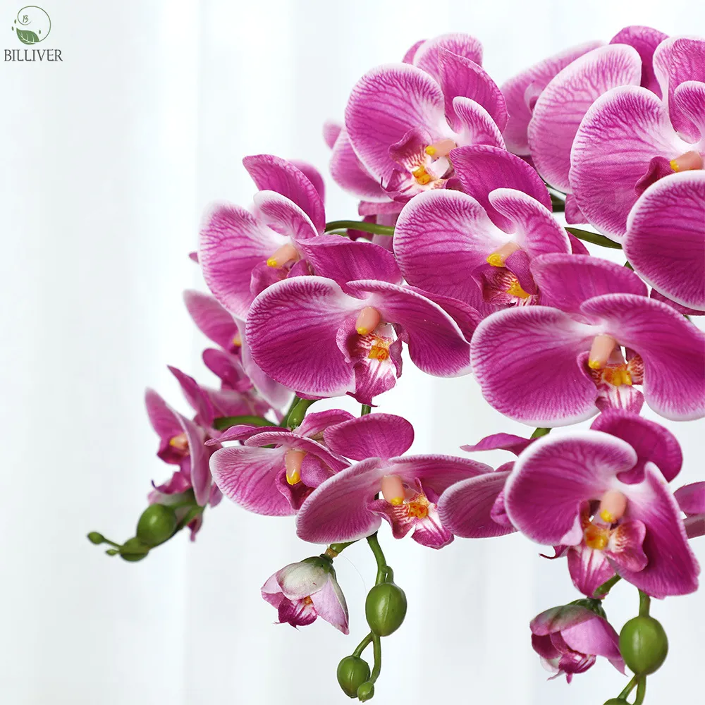 Gerçek dokunmatik çiçekler güve orkide dekoratif yapay çiçek güve kelebek orkide sahte Phalaenopsis dalları küçük Blooms beyaz