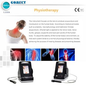 Schnelle Schmerzlinderung und Effektive Entzündungsreduktion 1064nm Laser-Physiotherapiegerät - Product Image 4