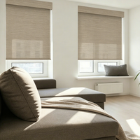 Rideaux électriques double couche sur mesure, stores à double rouleau pour la régulation de la lumière des fenêtres