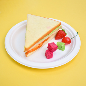 Assiettes jetables en bagasse de canne à sucre écologiques 100% compostables de 9 pouces pour gâteaux, pizzas, micro-ondes et résistantes à l'huile - Product Image 2