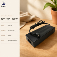Chargeur de batterie au lithium OEM 120W pour mangeoires automatiques pour animaux et vélos électriques – Vente directe usine