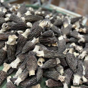 <span class=keywords><strong>Prix</strong></span> des champignons <span class=keywords><strong>morilles</strong></span> noirs séchés naturels en vrac - Product Image 5
