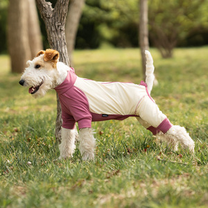 Mono de Verano para Mascotas con Logotipo Personalizado, Ropa Protectora de Secado Rápido, Anti-Caída de Pelo, a Prueba de Insectos y con Protección Solar para Exteriores - Product Image 2