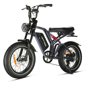 Vélo tout-terrain style cyclomoteur Drop Shipping Happyrun G60 Pro 2000W avec pneus larges 20x4.0 et livraison gratuite - Product Image 2
