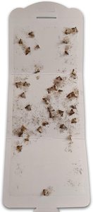 Độc đáo treo thiết kế Moth Trap Closet quần áo Moths vải bẫy pheromone hấp dẫn bắt tự nhiên mà không có độc hại thuốc chống - Product Image 4