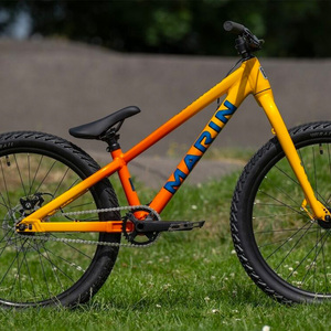 Vélo de montagne tout-terrain personnalisé 24/26 pouces avec frein à disque, fourche à ressort à vitesse variable et cadre rigide pour hommes et femmes - Product Image 3