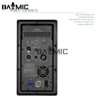 Module d'amplificateur de puissance de haut-parleur actif de classe D professionnel OEM d'usine 1000W pour haut-parleur de subwoofer de 18 pouces