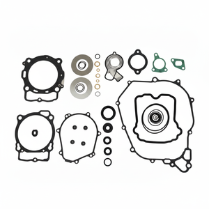 MC-F Gas 450 21-23 Kit guarnizioni motore con paraolio - Product Image 1