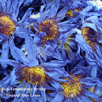 Fleurs de lotus bleues égyptiennes en vrac, conformes aux normes alimentaires européennes, 0,5 kg/sac, herbe relaxante Nymphaea Caerulea, thé sain et naturel