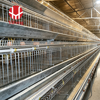 Cage à poules pondeuses de type A, alimentation et abreuvement automatiques, collecte des œufs, convoyeur de fumier, abreuvoir à tétine, acier galvanisé, 4 niveaux, pour volailles