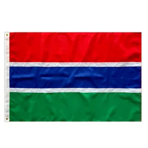 Factory Wholesale 90X150CM 3X5ft 210D Poly Polyester Gambia Flag From China Supplier
